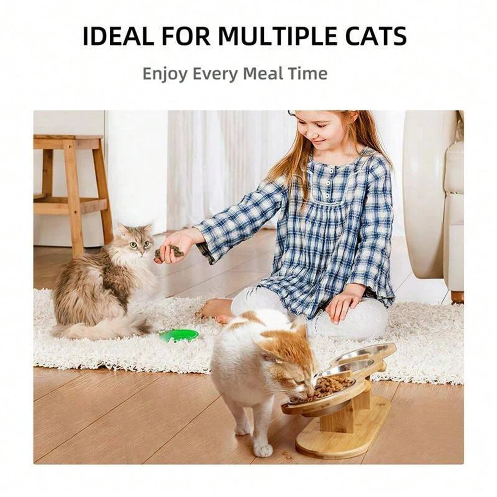 Cat 3 Bowls in 1 Feeder Feeding & Watering Supplies Food Bowl 15-Degree Tilt Raised Puppy 3 Stainless Steel Bowls Wood Brackets