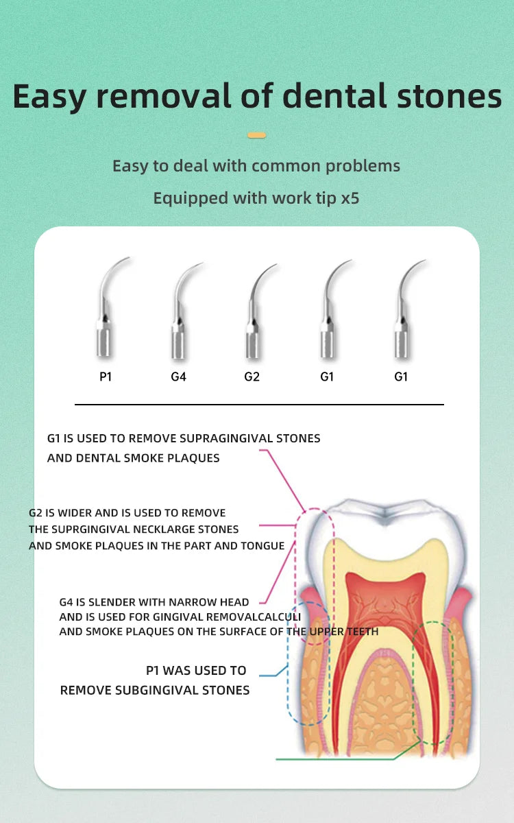 INSEX B-type ultrasonic medical dental cleaning machine, pet beauty salon, dental stone removal, dental cleaning machine