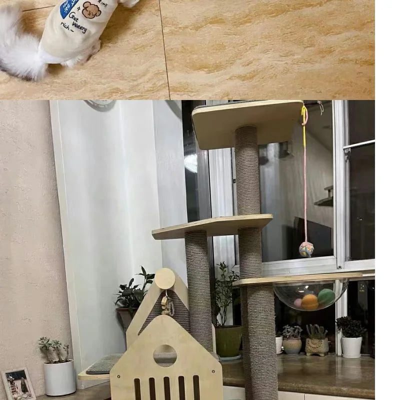 Crocs Big Cat Beds and Furniture Breathable Funny and Creative design House for Cats Comfortable Cat Products Accessories