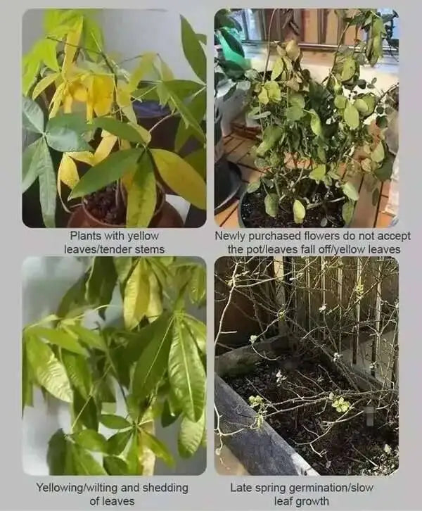 50ML Promote Sprouting Rapid Wering Fast Potting Rooting Plant Nutrient Solution Supplement Garden Tool