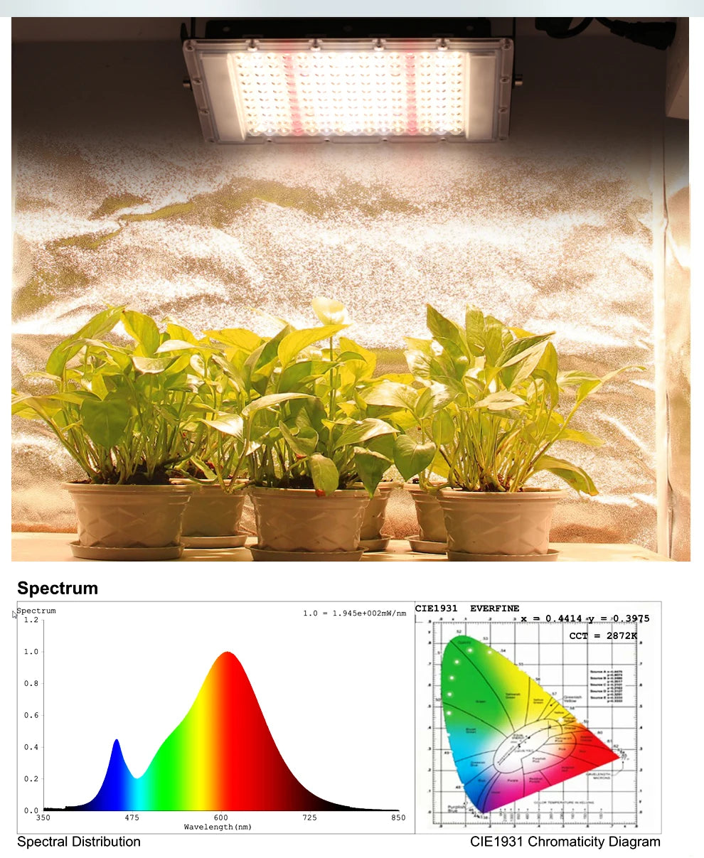 Full Spectrum LED Grow Light 50W 100W Imitated Sunlight Phyto Lamp For Greenhouse Hydroponic Plant Growth Lighting