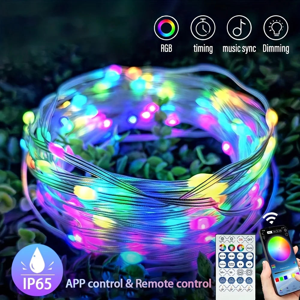 WS2812B RGB LED String 20m 10m 5m DIY Smart IC APP Bluetooth Remote Fairy Lights Dreamcolor Garden Party Christmas Wedding Decor