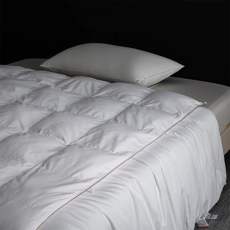 Queen Size 4-Season Combo: Goose Down + Silk Duvet - Guest Room Ready, Wrinkle-Free Cover