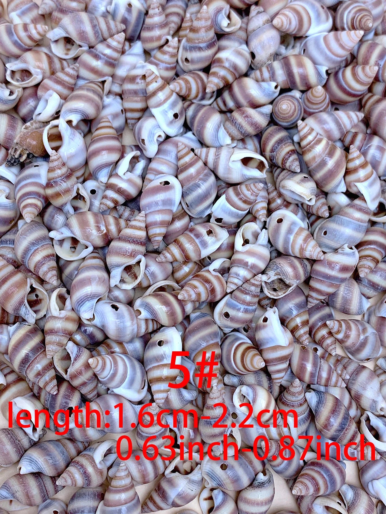 30/60/120pcs natural handmade diy with hole shell suitable for bracelet necklace earrings pendant jewelry accessories