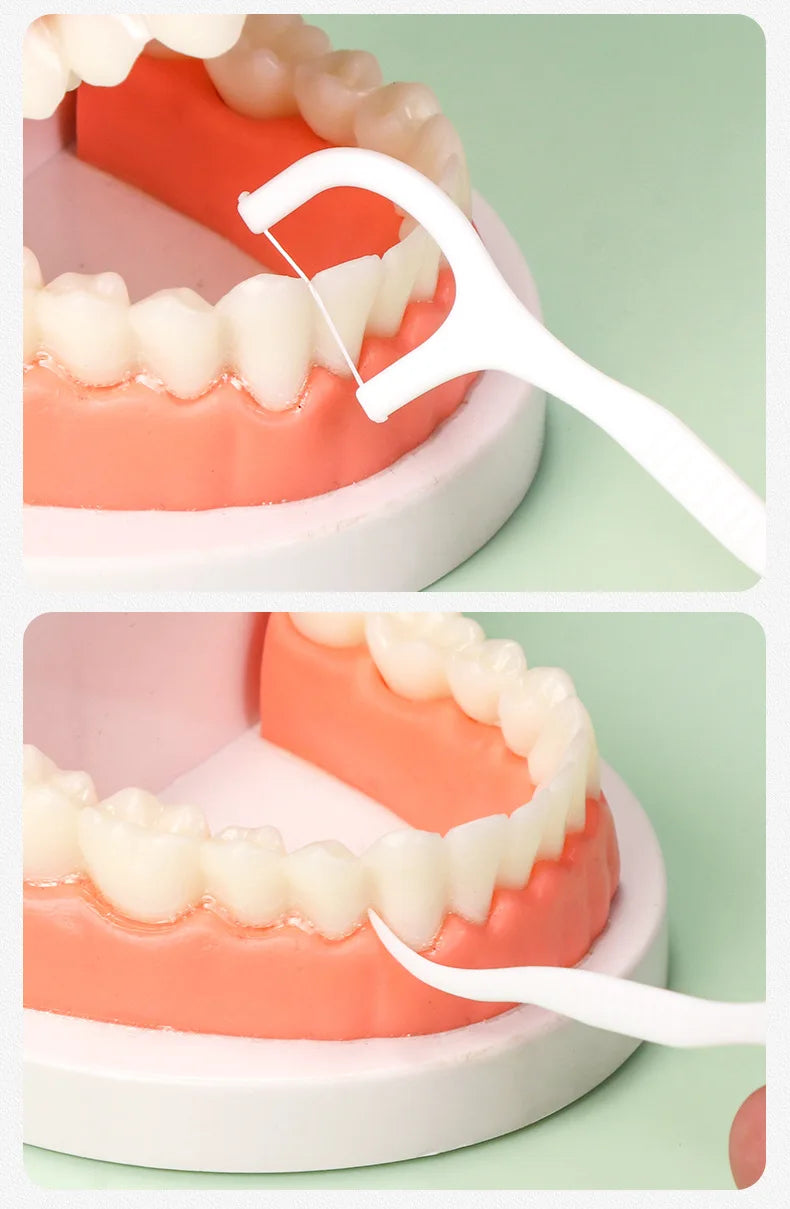 3 PCS Disposable Plastic Toothpick Dental Floss High-tension Smooth Dental Floss Stick Portable Dental Floss Box Dental