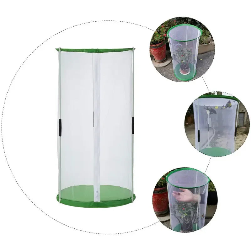 Butterfly Insect Cage Observation Butterflies Habitat Kids Portable Breeding House Visible Insects