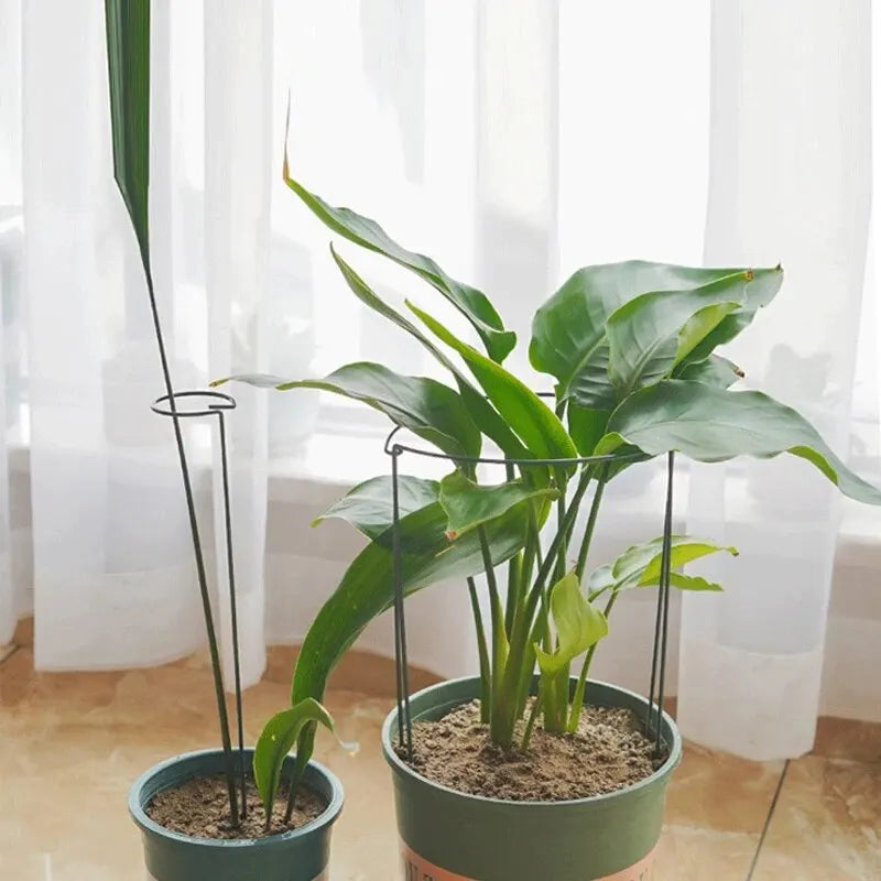 6pcs Tall Plant Support Stakes Metal Half Round Garden Plant Cage And Support Green Plant Support Ring Border For Flower Indoor