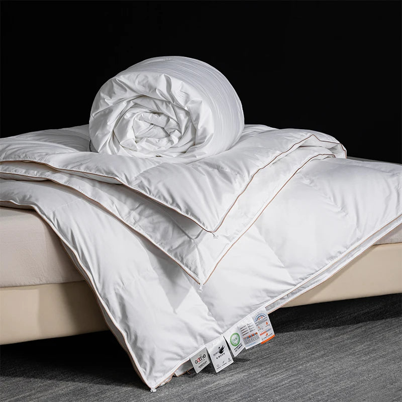 Queen Size 4-Season Combo: Goose Down + Silk Duvet - Guest Room Ready, Wrinkle-Free Cover