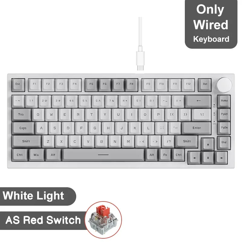 Ajazz AK820/AK820Pro gaming mechanical keyboard Bluetooth 5.1/Wireless/wired c custom keyboard with heat exchange sealed button