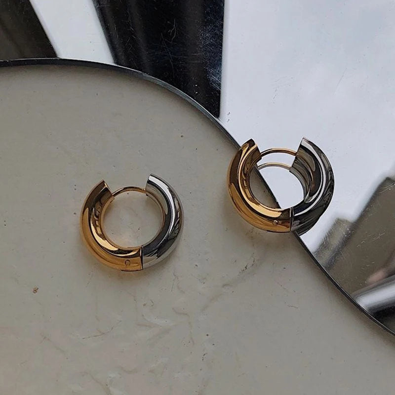 Gold Silver Color Stainless Steel Round Earrings For Women's Simple  Fashion  Hip-hop Rock Jewelry Accessories