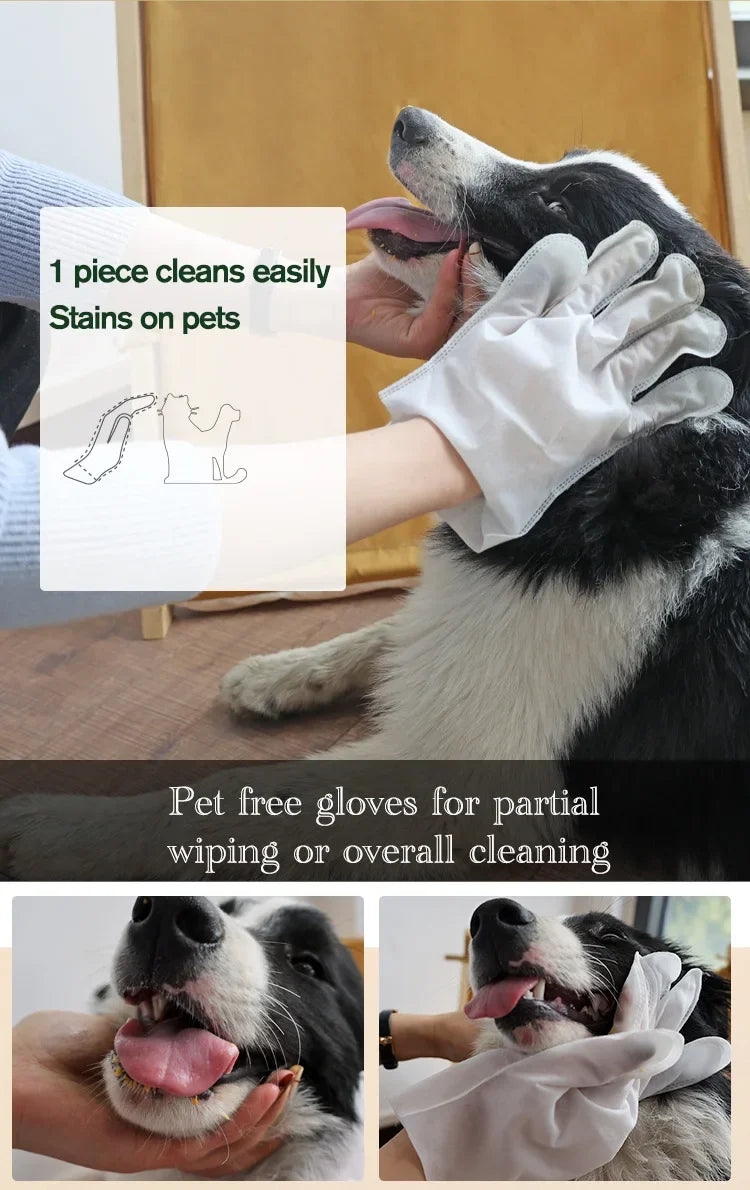6pcs Pet Disposable Gloves Dog Bath Cleaning Wipes Mild Deodorizing Full Body Special Cleaning Gloves Cat Grooming Supplies