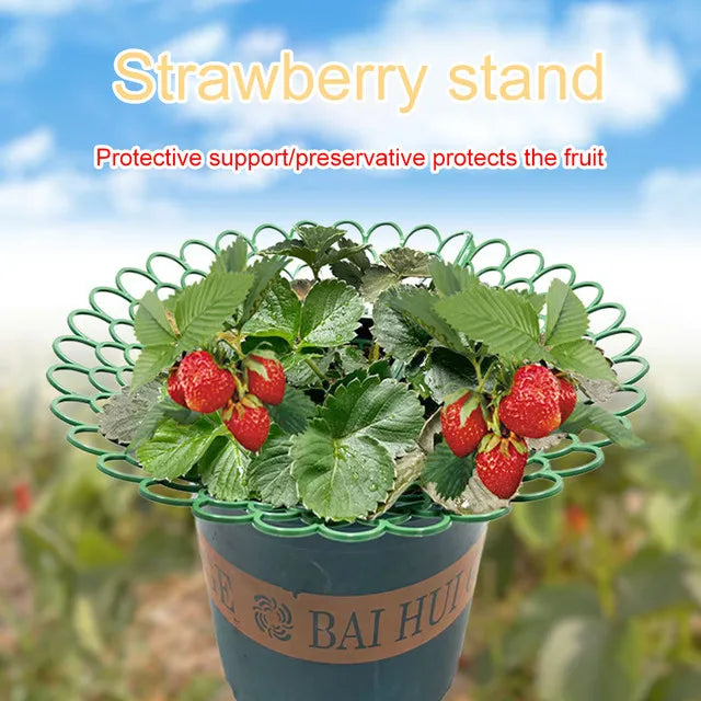 Gardening Strawberry Vegetable Growing Supports Keeping Plant Fruit Stand Rack Tools For Protecting Vines Avoid Ground retail