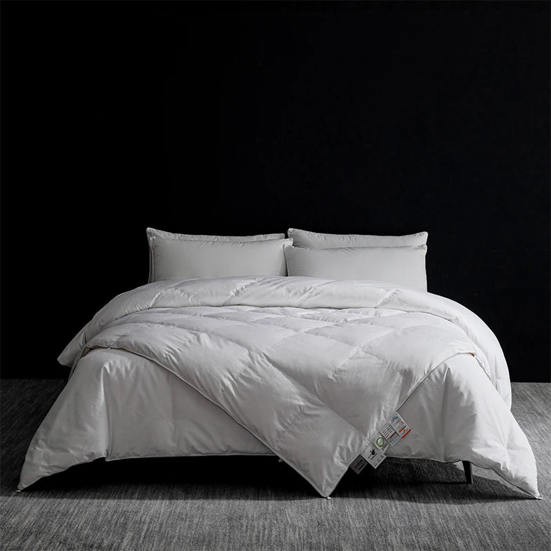 Queen Size 4-Season Combo: Goose Down + Silk Duvet - Guest Room Ready, Wrinkle-Free Cover