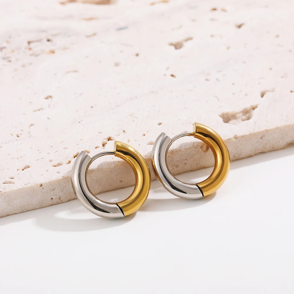 Gold Silver Color Stainless Steel Round Earrings For Women's Simple  Fashion  Hip-hop Rock Jewelry Accessories