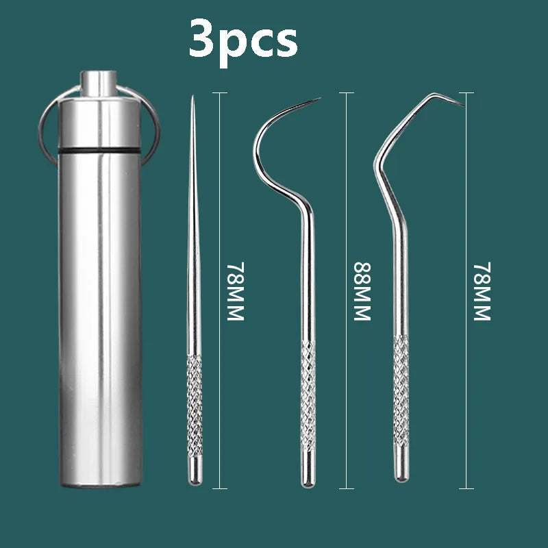 Portable Dental Tool Set Flossing Tooth Picking Tool Metal Stainless Steel Spiral Ear Pick Spoon Kit Oral Hygiene Tartar Removal