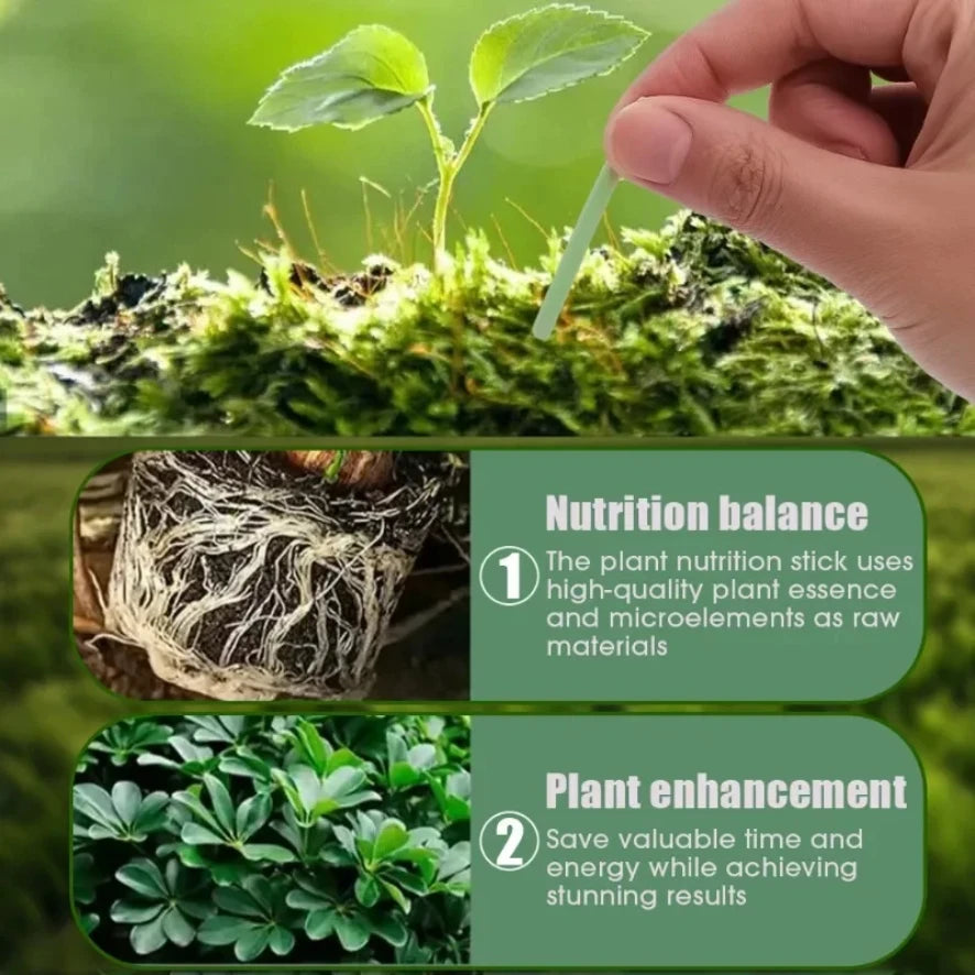 Plant Nutrition Bars Nitrogen Phosphorus Potassium for Healthy Growth of Plant Fruit Vegetables Flowers Compound Fertilizer