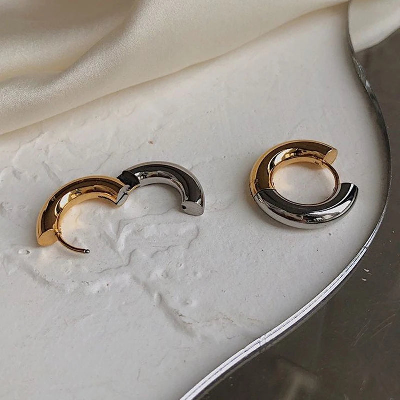 Gold Silver Color Stainless Steel Round Earrings For Women's Simple  Fashion  Hip-hop Rock Jewelry Accessories