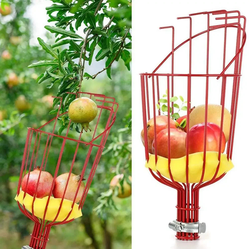 Long Handle Fruit Picker with Basket Adjustable Fruit Catcher for Apple Mango Pear Avocado Professional Orchard Tool I8P8