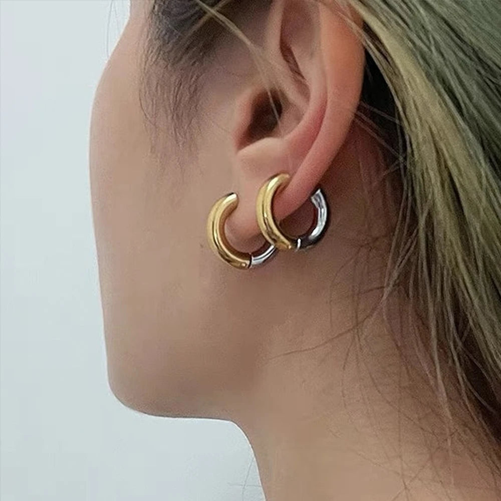 Gold Silver Color Stainless Steel Round Earrings For Women's Simple  Fashion  Hip-hop Rock Jewelry Accessories