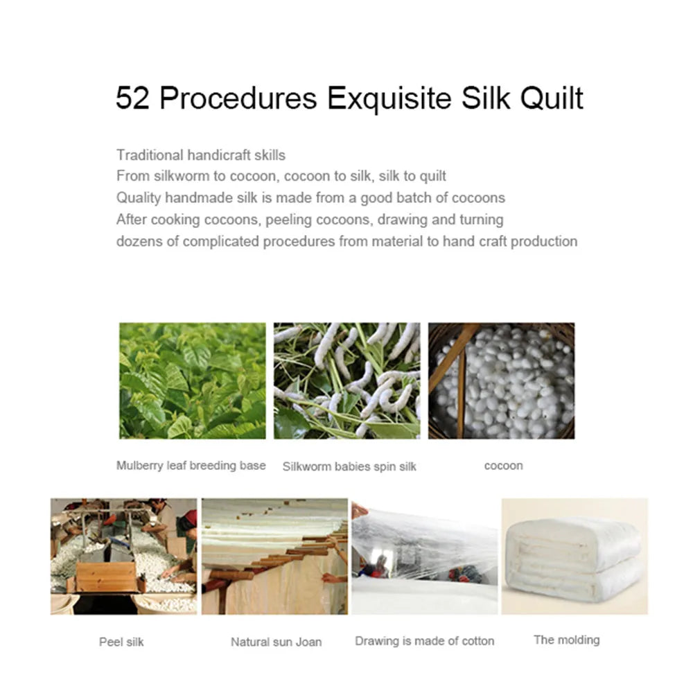 Sondeson Luxury Natural 100% Silk Quilt Warm Jacquard White Duvet Soft Comforter Queen King Silky Healthy Blanket For Sleep 1pcs