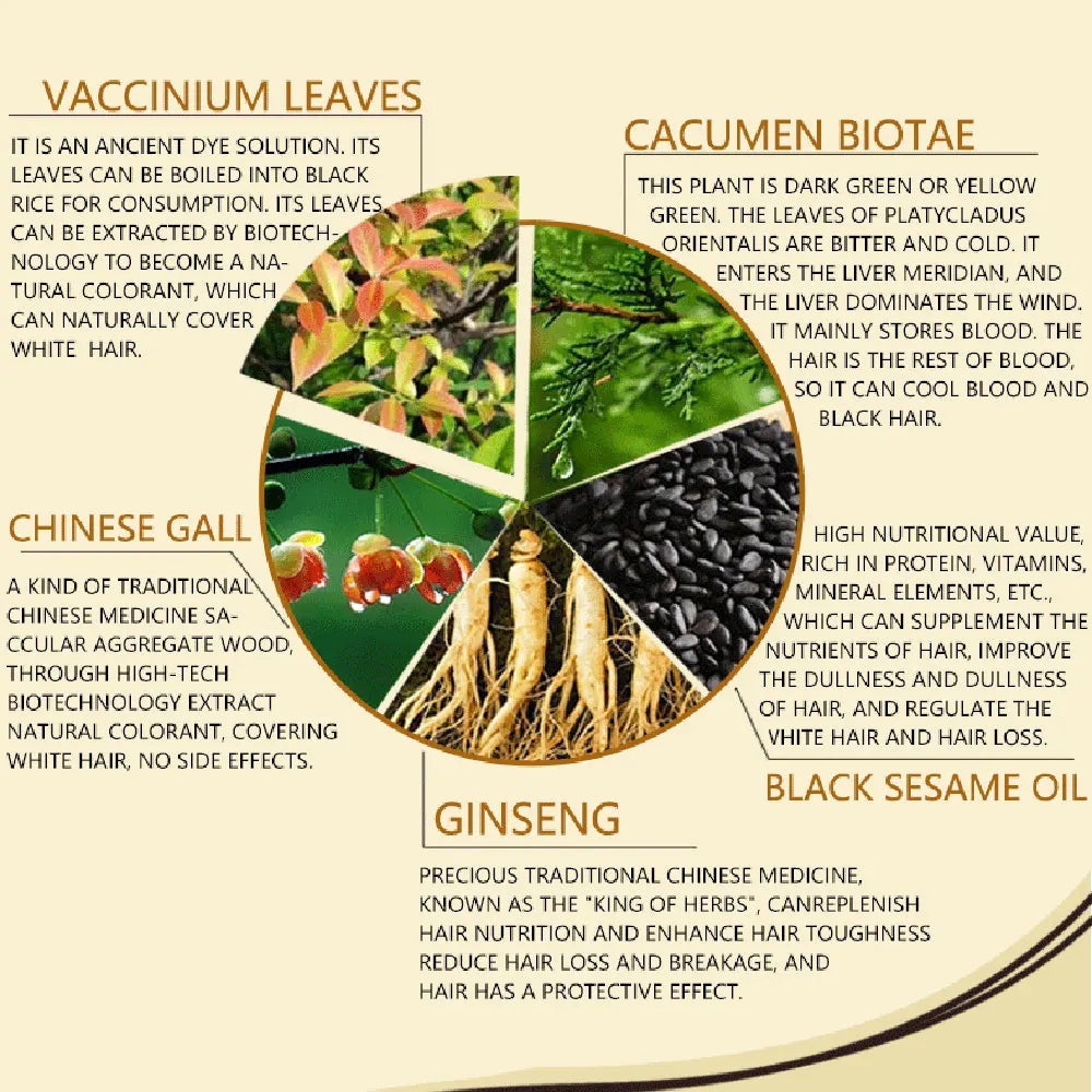 500ml 3 In 1 Hair Color Shampoo Black Hair Dye Covering White Hair Shampoo Black Plant Hair Dye Fast Hair Dye Cream Styling DIY