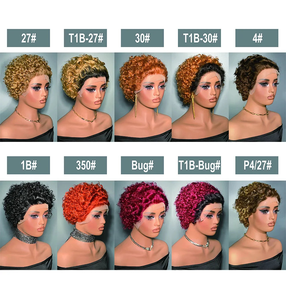 99J Wigs Human Hair Cheap Pixie Cut Wig 13X1 Transparent Lace Wig For Women Short Curly Human Hair Wig 180 Density