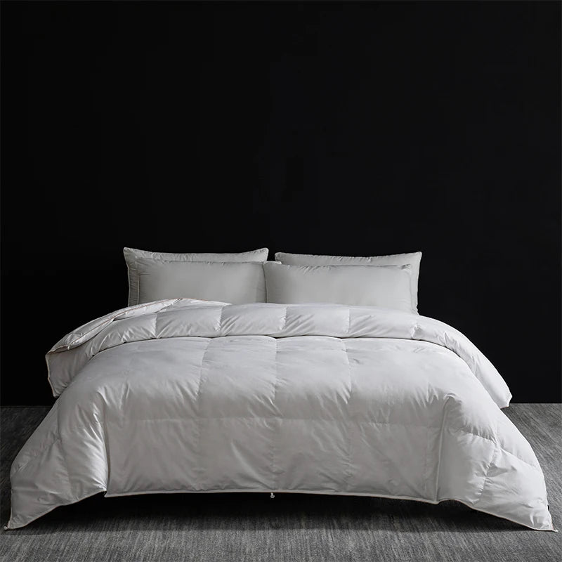 Queen Size 4-Season Combo: Goose Down + Silk Duvet - Guest Room Ready, Wrinkle-Free Cover