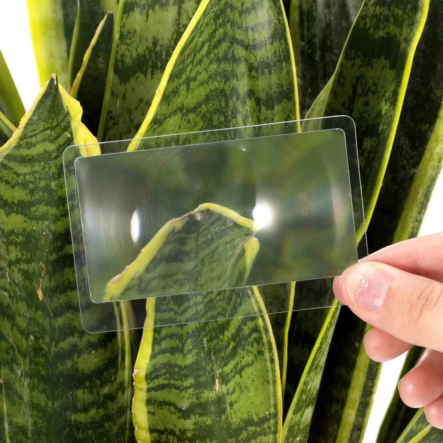 10pcs Pocket Fresnel Lens 3X Wallet Magnifier Lenses Brand Credit Card Magnifying Glass for Seniors Elders Reading Fire Starter