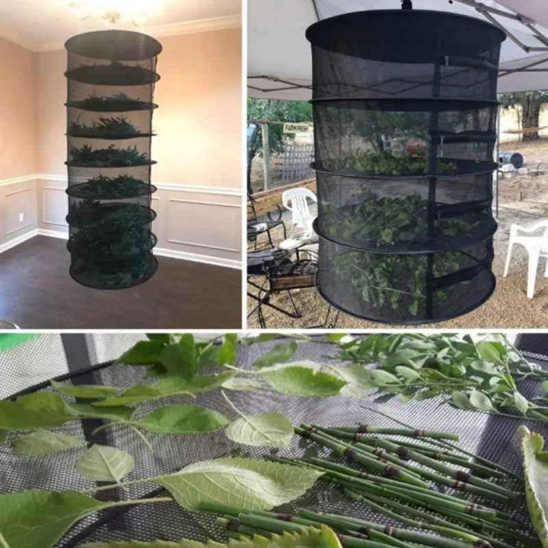 Folding Dry Rack Herb Vegetable Dryer 2-8Layers Drying Net for Fish Herbs Hanging Basket with Mesh Flowers Buds Plants Organizer
