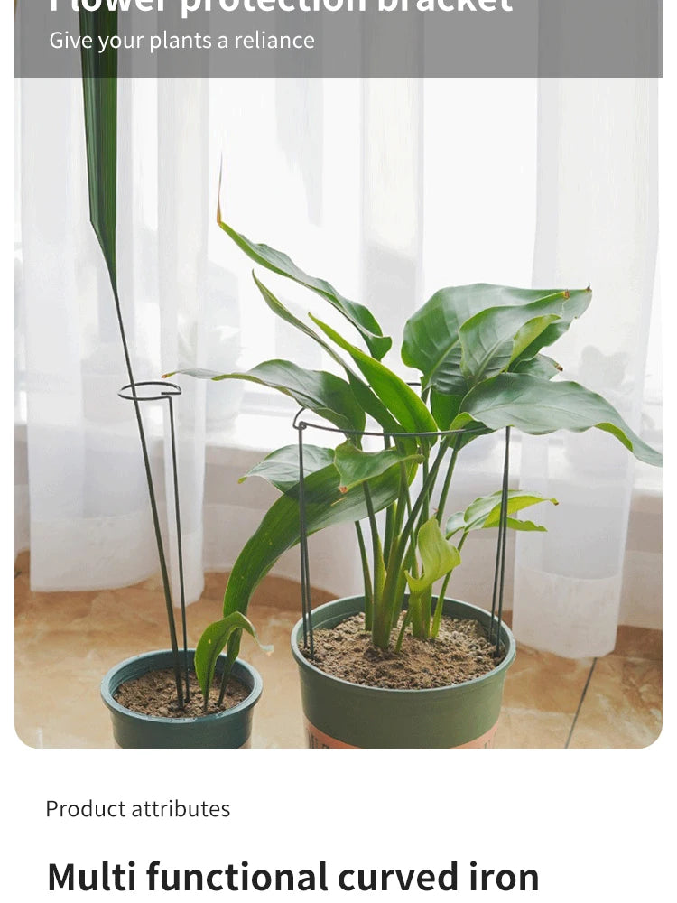 6pcs Tall Plant Support Stakes Metal Half Round Garden Plant Cage And Support Green Plant Support Ring Border For Flower Indoor