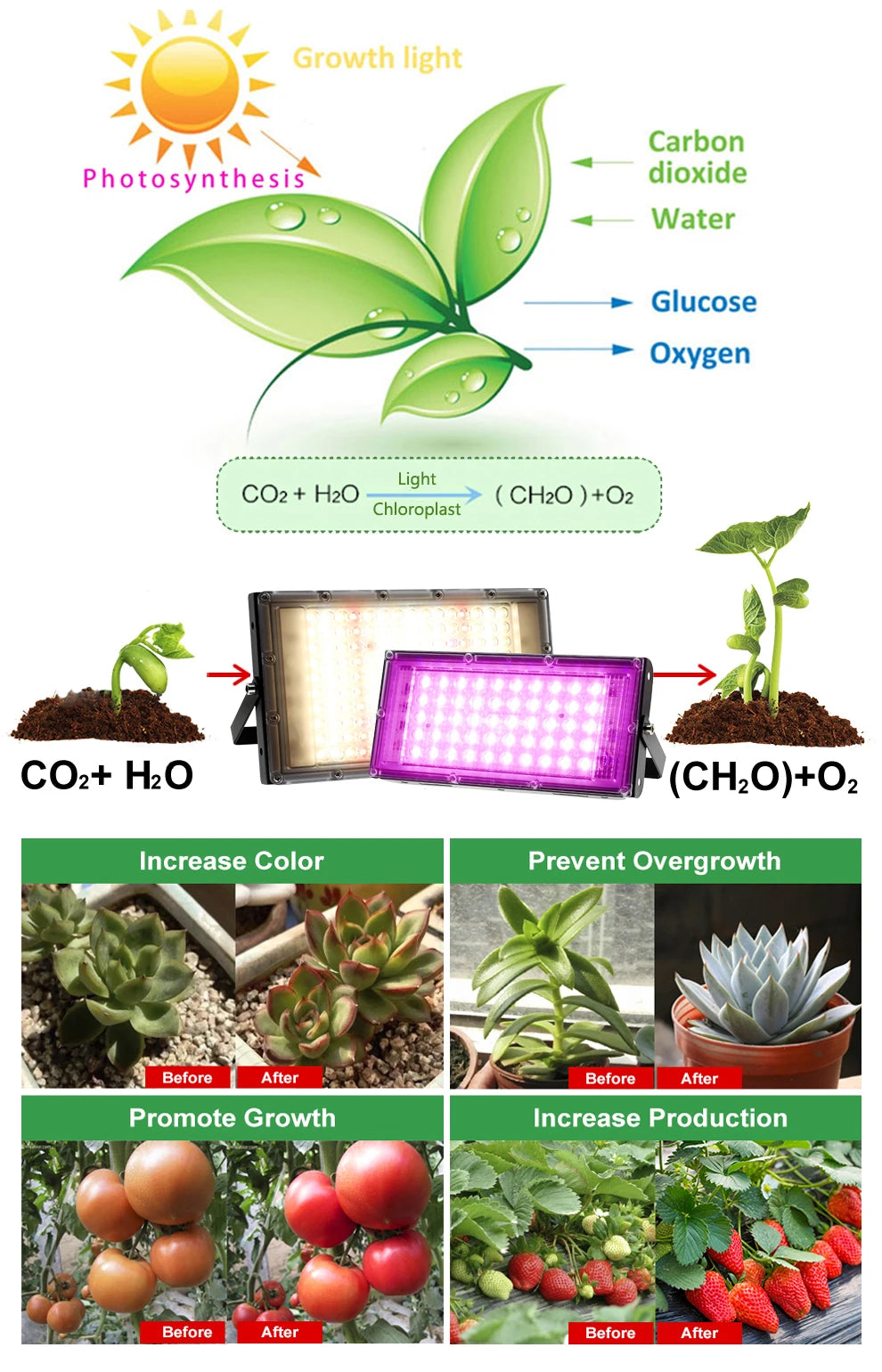 Full Spectrum LED Grow Light 50W 100W Imitated Sunlight Phyto Lamp For Greenhouse Hydroponic Plant Growth Lighting