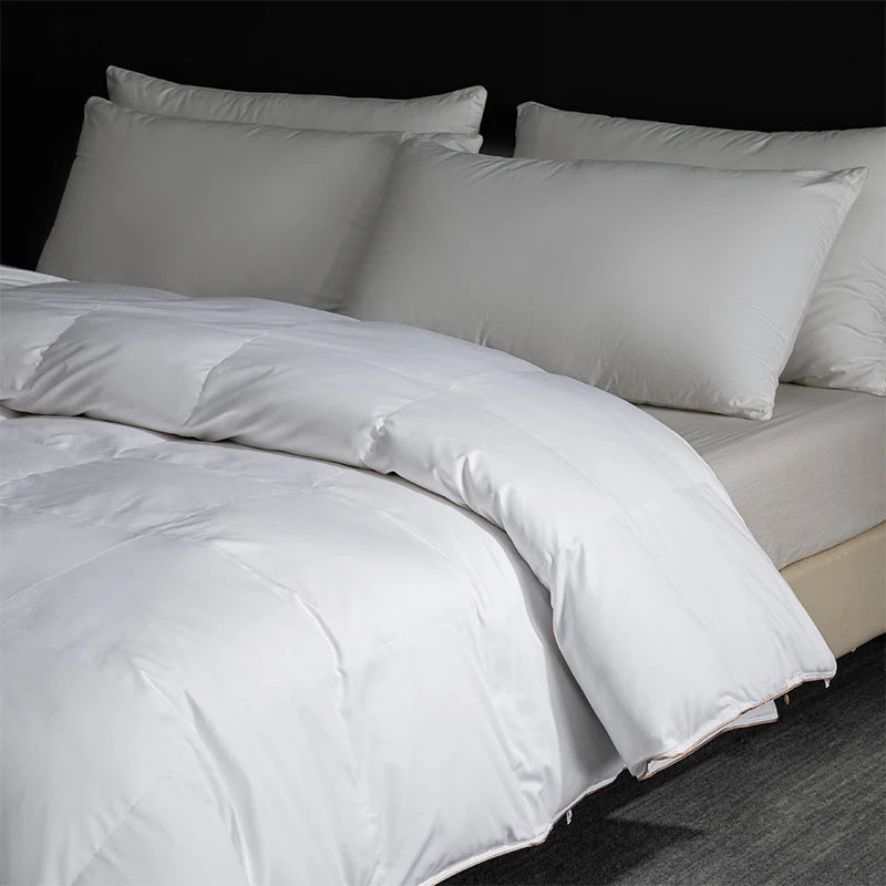 Queen Size 4-Season Combo: Goose Down + Silk Duvet - Guest Room Ready, Wrinkle-Free Cover