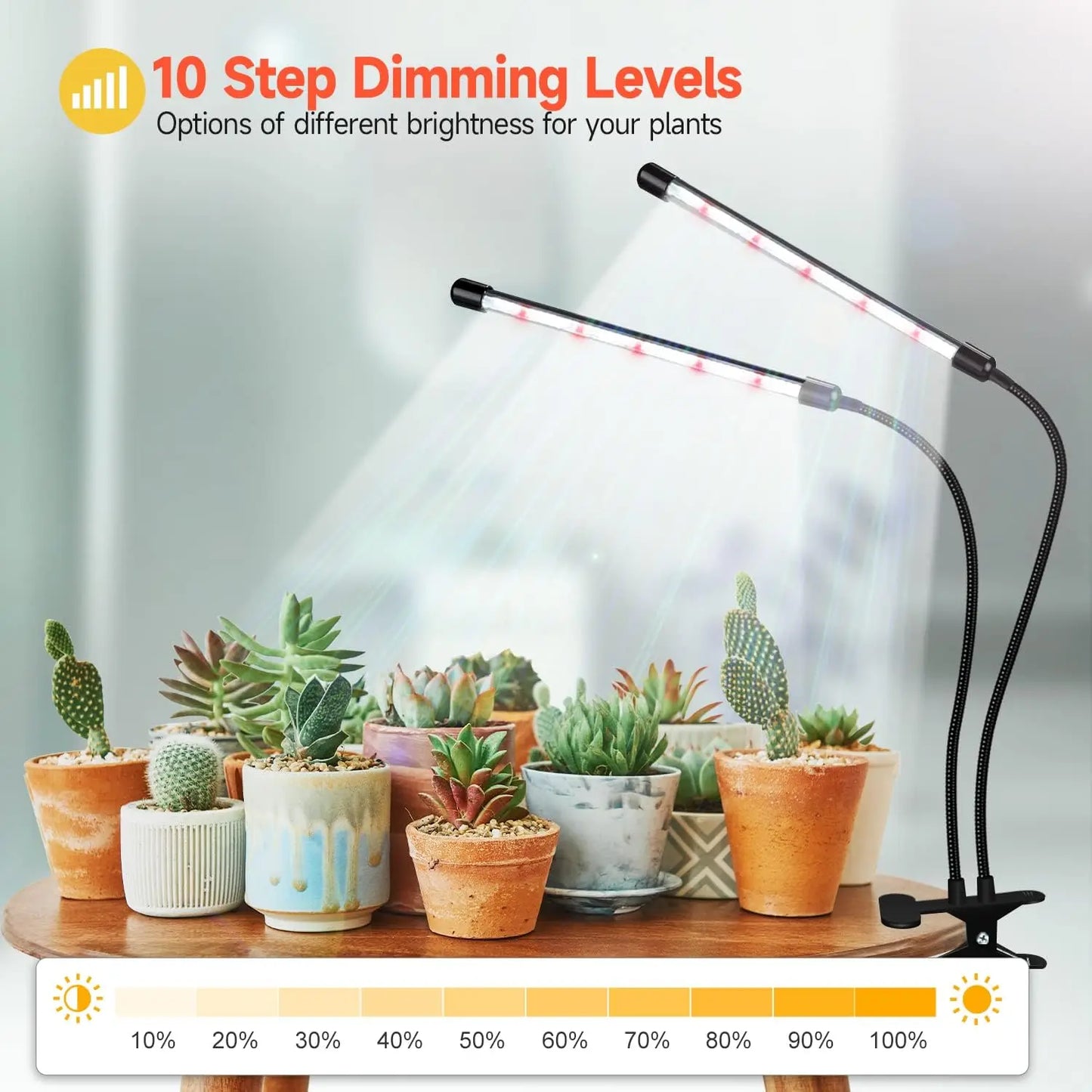 Desk LED Grow Light Plant Lights for Indoor Plants,Full Spectrum With Clip Plant Growing Lamp for Seed Start,Auto On Off Timing