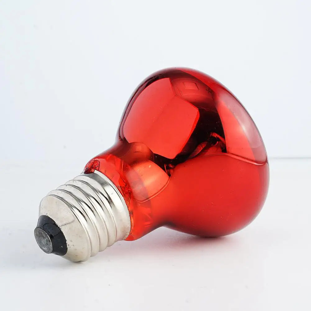 Pet Heating Lamp UVA Day Night Amphibian Amphibian Snake Lamp Heat Reptile Bulb Light Heat Reptile Bulb 25/50/75/100W 220-240V
