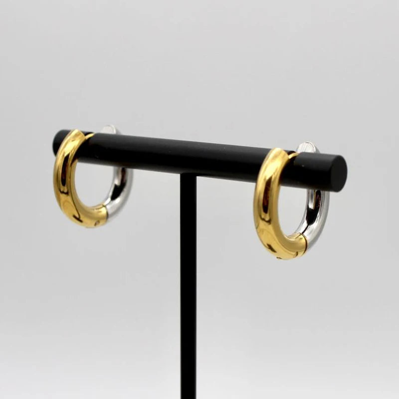 Gold Silver Color Stainless Steel Round Earrings For Women's Simple  Fashion  Hip-hop Rock Jewelry Accessories