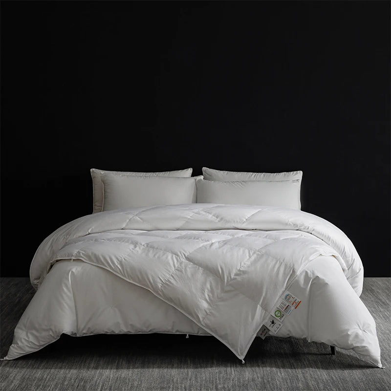 Queen Size 4-Season Combo: Goose Down + Silk Duvet - Guest Room Ready, Wrinkle-Free Cover