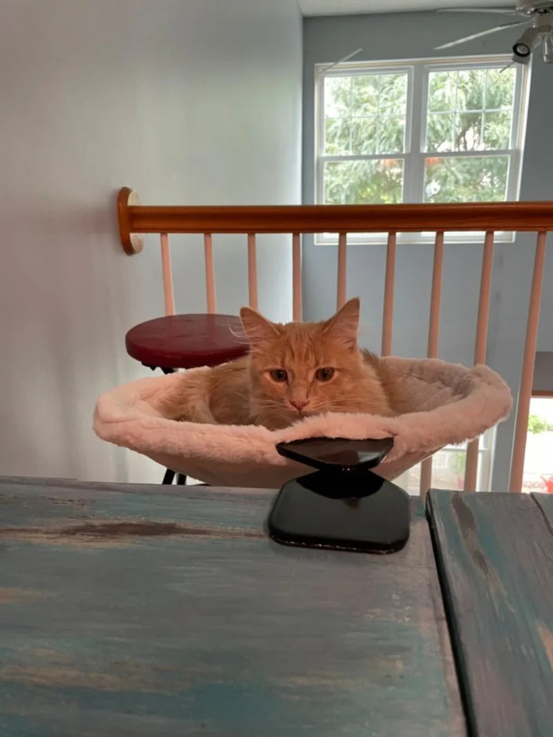 Cats Beds and Furniture Round Cats Litter Nest Desk 360° Rotating Hanging Cat Hammock Solid and Firm Cat Accessories Supplies