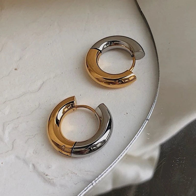 Gold Silver Color Stainless Steel Round Earrings For Women's Simple  Fashion  Hip-hop Rock Jewelry Accessories