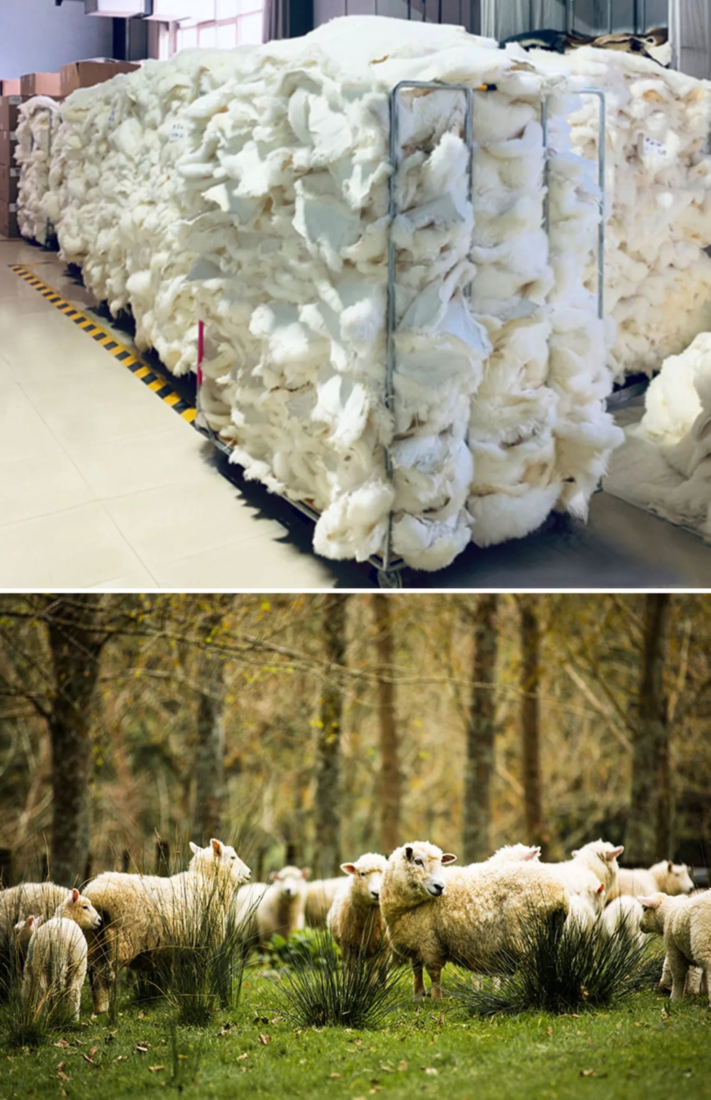 Natural Australia White Wool Comforters Real Sheepskin Mattress Bedroom Blankets For Bedding 2022 Winter