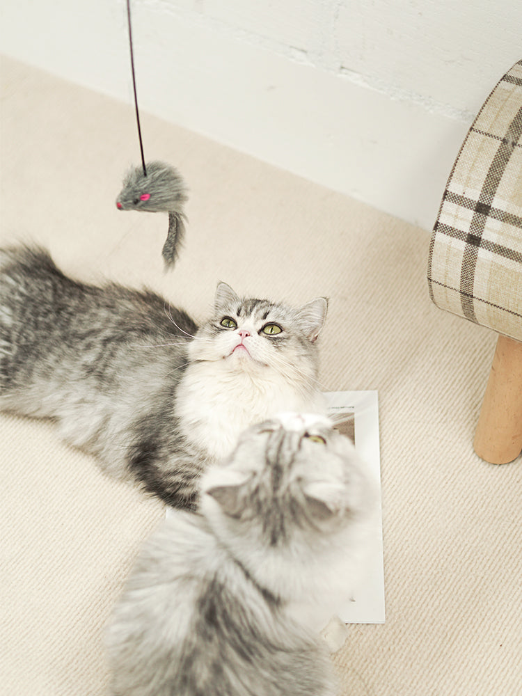 Simulation Mouse Cat Toy Funny Self-hey Hanging Door Retractable Cat Stick Scratch Rope Mouse Cat Interactive Toy Cat Supplies
