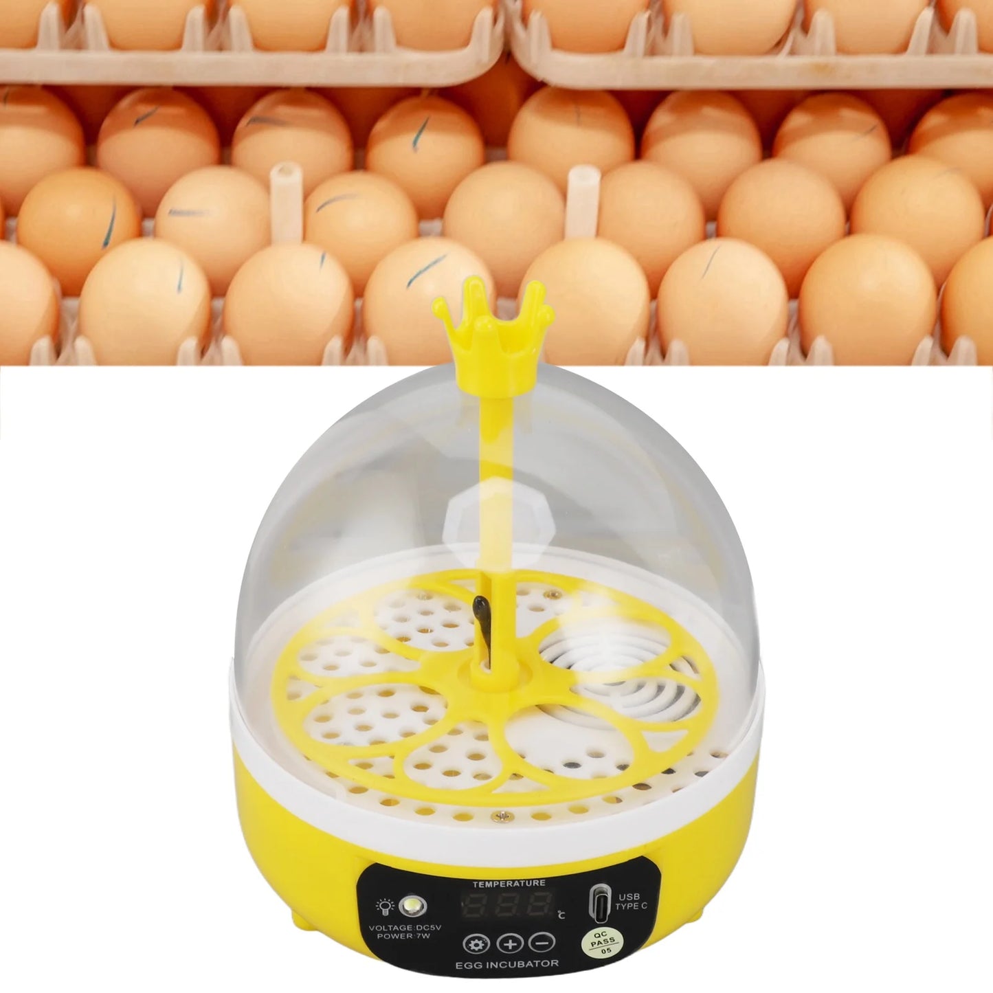 Mini Egg Incubator for Home Automatic Temperature Humidity Control 4 Eggs Candler Poultry Hatching Machine for Chickens Ducks Pi