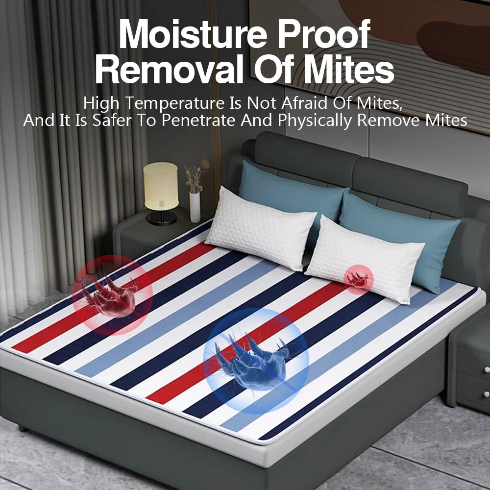 110V or 220V Electric Blanket Thicker Heaters Electrica Smart Control Heated Blanket Winter Carpet Mats for Houshold Bedroom Use