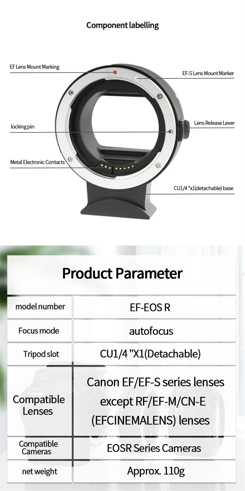 EF-EOS R Lens Adapter Electronic Auto-Focus EF to R Mount Adapter for Canon EF/EF-S Lens to EOS R Series Mirrorless Cameras