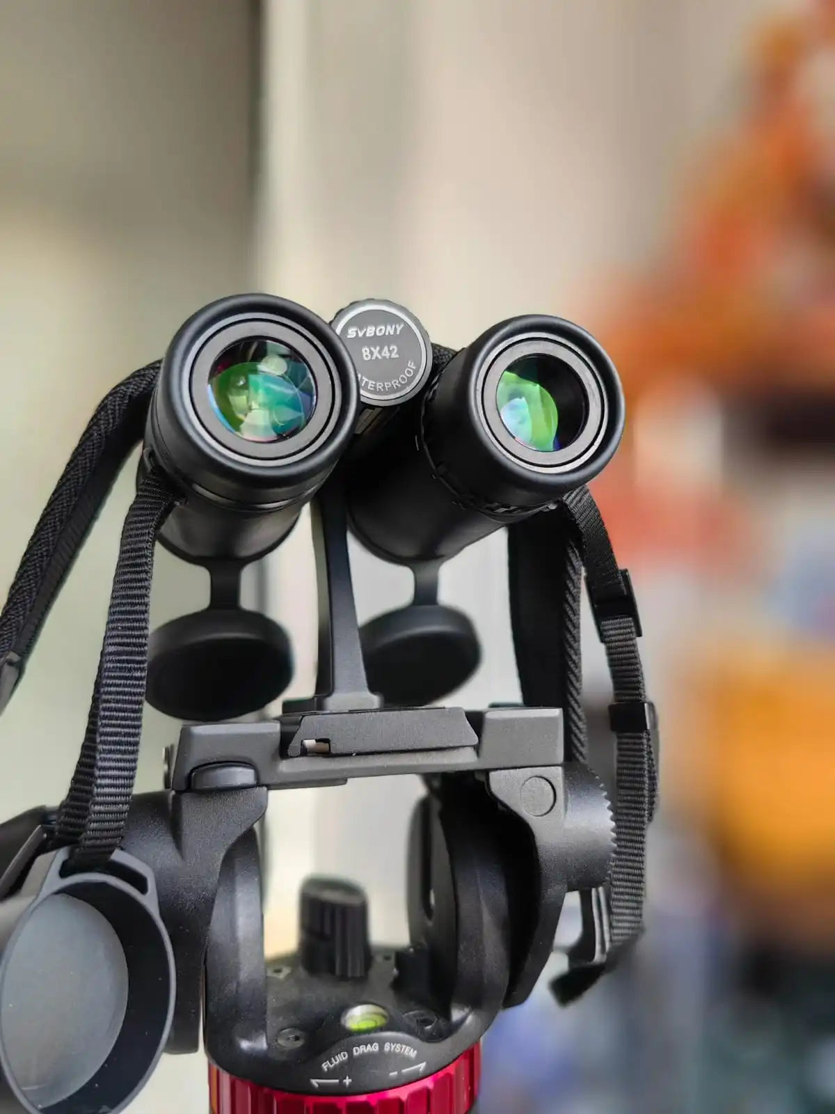 Svbony SA205 Binoculars ED Flat-field 8X42/10X42 Professional IP67 Waterproof BAK4 Twist-up Eyecups for Travelling Bird Watching