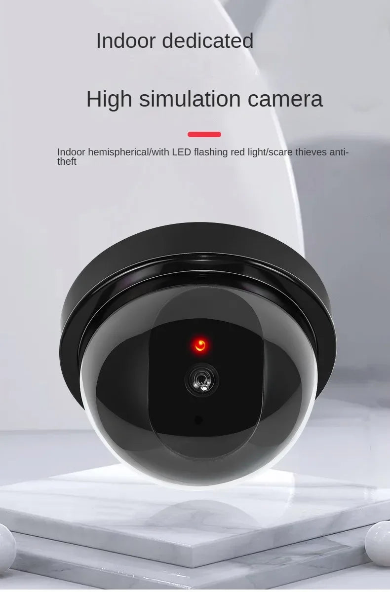 Simulation Fake Monitor Fake Camera Outdoor Household Fake Camera Head Probe Model Realistic Model Simulation Monitoring