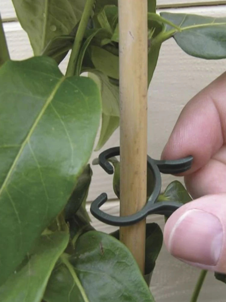 NEW Plant Garden Clips Planting Support Grippers Great Loop Clamp Holding Stems for Flower Vine and Vegetable Lever retail