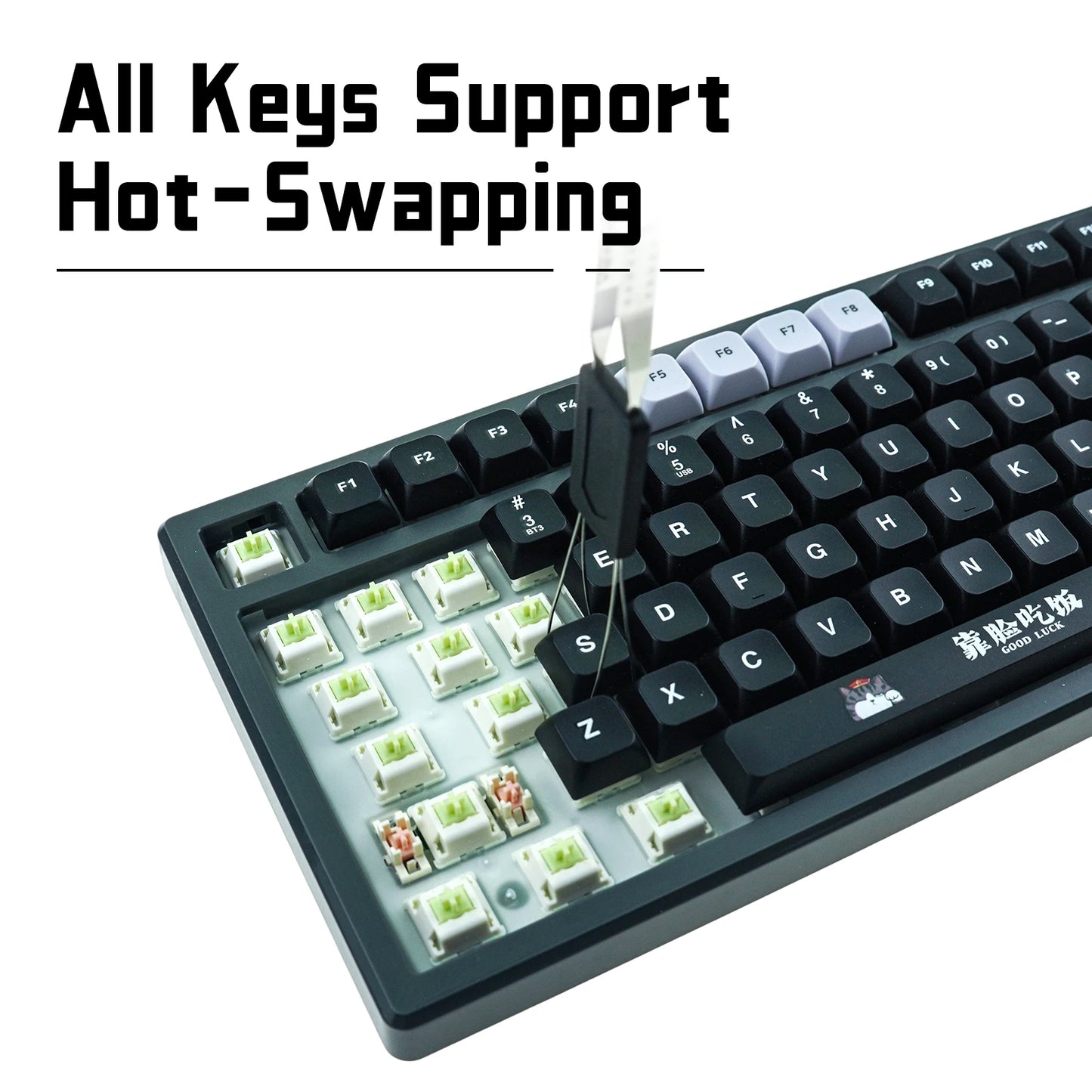 ASL & Supremo Cat Co-Branded Mechanical Keyboard Tri-Mode 2.4G Bluetooth Wireless Wired 79 Key 75% Layout RGB Gaming Keyboard