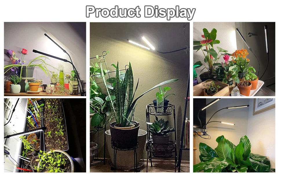 Desk LED Grow Light Plant Lights for Indoor Plants,Full Spectrum With Clip Plant Growing Lamp for Seed Start,Auto On Off Timing