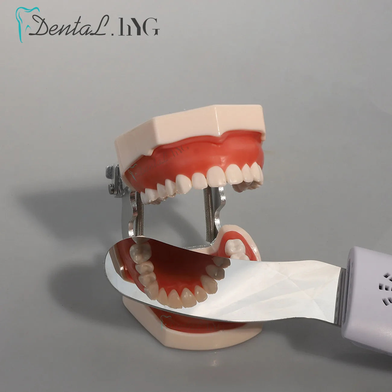 Dental Anti-Fog Mirrors Set Mirror With LED Light Orthodontic Reflectors Fog Free Intraoral Photography Stainless Steel Dentist