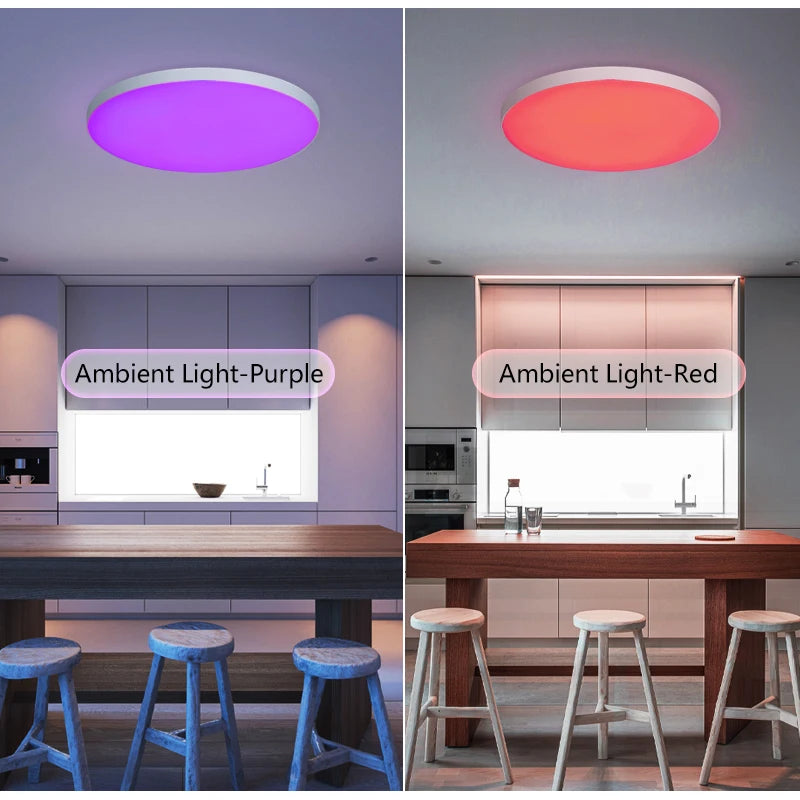 30W 36W Smart LED Ceiling Light RGB Dimming APP TUYA Remote Control Timing Indoor Home Decor Bluetooth WIFI Bedroom Living Room